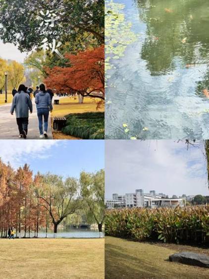 0c7b7a4af4eec42c027aab4a401feae9