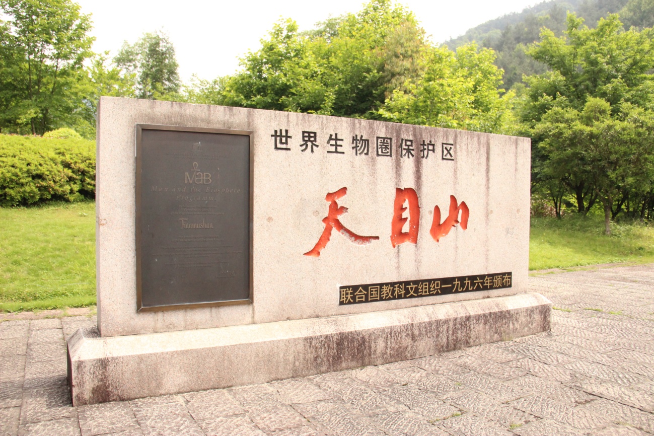 image001.jpg