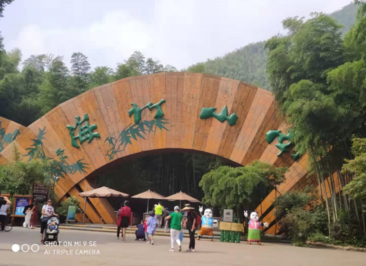 微信图片_20191112090621.png