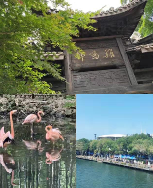 微信图片_20191112090810.png